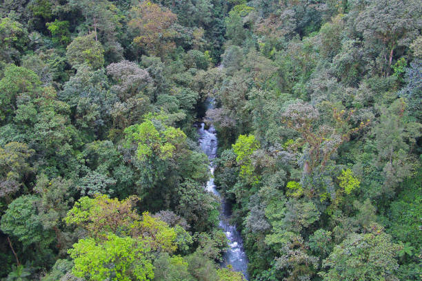 istock Over the river and over the woods. 1282006192