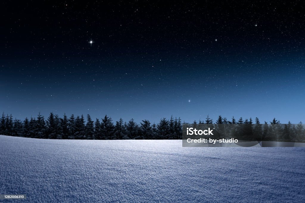 Winterlandschaft Mit Tannenwald Und Sternenhimmel Stockfoto und mehr Bilder  von Nacht - Nacht, Schnee, Winter - iStock