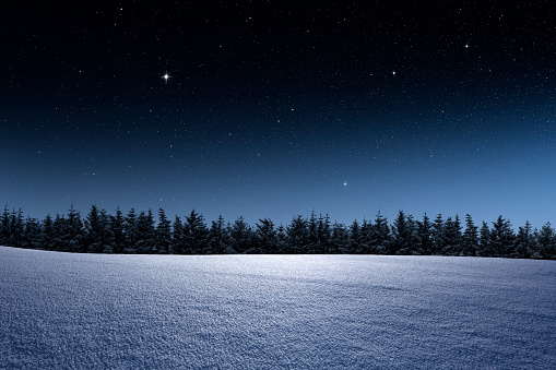 Paisaje de invierno con bosque de abetos y cielo estrellado photo