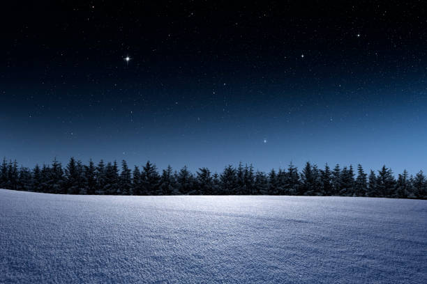 paysage d’hiver avec la forêt de sapin et le ciel étoilé - nuit photos et images de collection