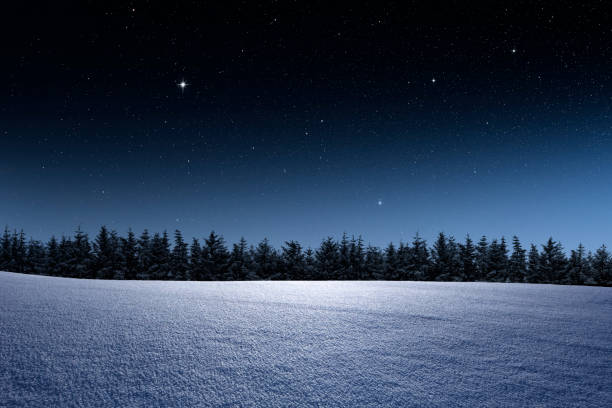 Winter landscape with fir forest and starry sky stock photo