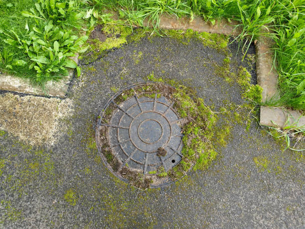 istock Manhole covered by green moss with green grass around. 1282009926