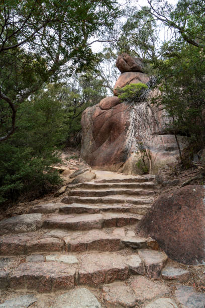 The footpath scenery to Wineglass Bay and Coles Bay, Freycinet National Park at Freycinet Peninsula Tasmania, Australia Tasmania, Australia. honeymoon bay stock pictures, royalty-free photos & images