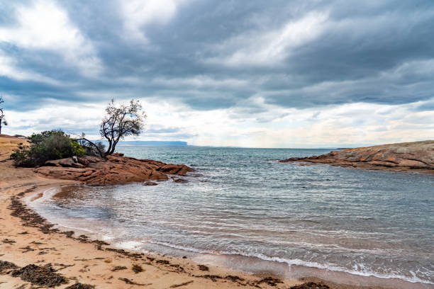 Honeymoon Bay, Freycinet National Park at Freycinet Peninsula Tasmania, Australia Tasmania, Australia. honeymoon bay stock pictures, royalty-free photos & images