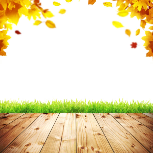 Beautiful autumn background with yellow and red leaves.