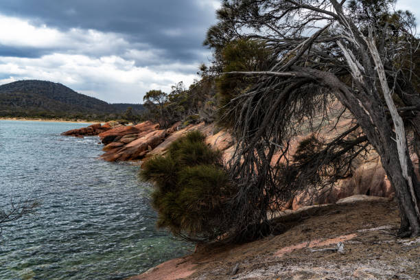 Honeymoon Bay, Freycinet National Park at Freycinet Peninsula Tasmania, Australia Tasmania, Australia. honeymoon bay stock pictures, royalty-free photos & images