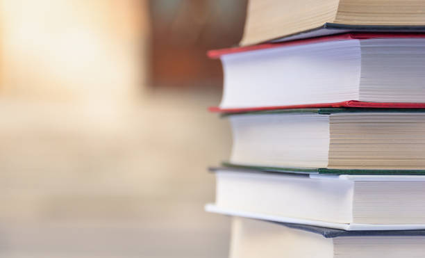 istock Stack of books on the background of the university 1282019751