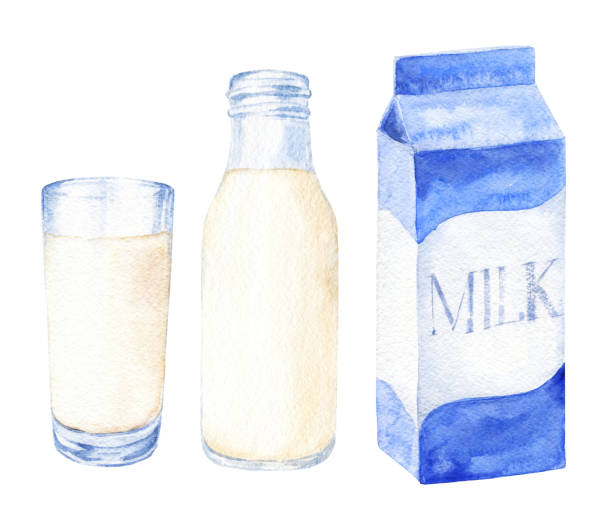 ręcznie rysowany zestaw mleka akwarelowego, szkło, butelka i karton. realistyczna ilustracja żywności wyizolowana na białym tle. - milk milk bottle bottle glass stock illustrations