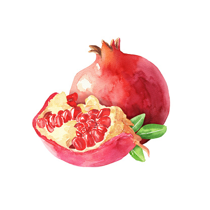 Hand drawn watercolor pomegranate composition isolated on white background. Delicious fruit drawing, food design.