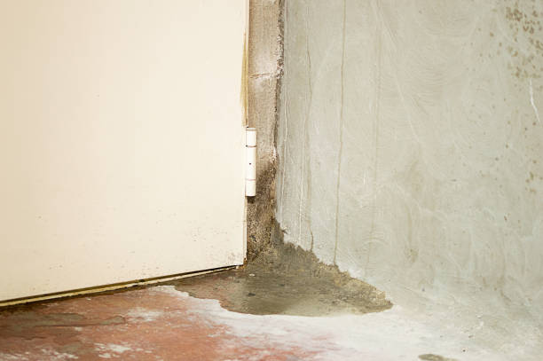 istock entrance door with water filtering inside 1282021001