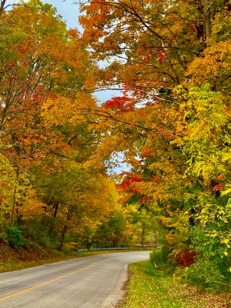 istock Country Road in Autumn 1282021842