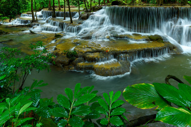 istock Beautiful waterfall in deep forest at National Park, Thailand. 1282021942