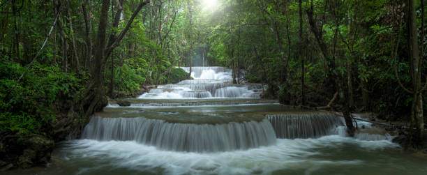панорамный красивый глубокий лесной водопад в таиланде - waterfall thailand tropical rainforest tropical climate стоковые фото и изображения