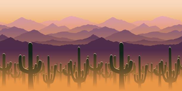 ilustrações, clipart, desenhos animados e ícones de silhuetas de planta de cactos no fundo das montanhas - sonoran desert illustrations