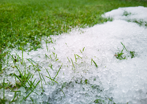 Hail after the storm lies on the grass in the garden.Climate change concept.
