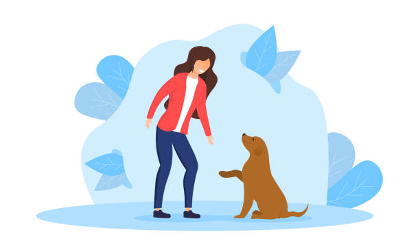 illustrazioni stock, clip art, cartoni animati e icone di tendenza di cane che dà zampa - tame