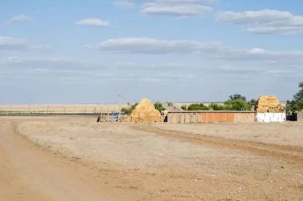 Photo of a field with dry grass in a village, a yard and sheaves of hay