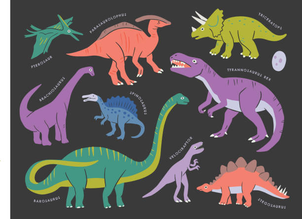 illustrazioni stock, clip art, cartoni animati e icone di tendenza di collezione di dinosauri — elementi vettoriali disegnati a mano - stegosauro