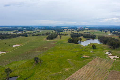 Aerial view of a vineyard and pasture in the Hunter Valley in regional New South Wales in Australia