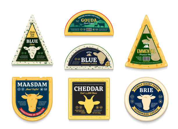 ilustrações de stock, clip art, desenhos animados e ícones de vector different types of cheese labels - dairy farm dairy product emmental cheese cheese