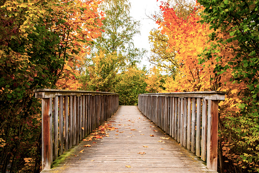 A wooden bridge surrounded by colorful autumn leaves, in Europe.