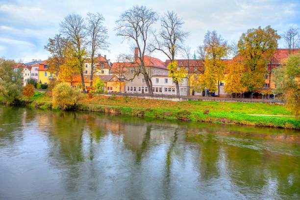 Danube nature in the late autumn . Regensburg, a Bavarian city in the fall season