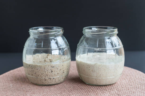 istock freshly fermented rye and wheat starters in glass jars 1282041098