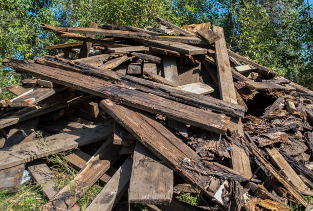 istock a dump of old rotten boards. 1282042601