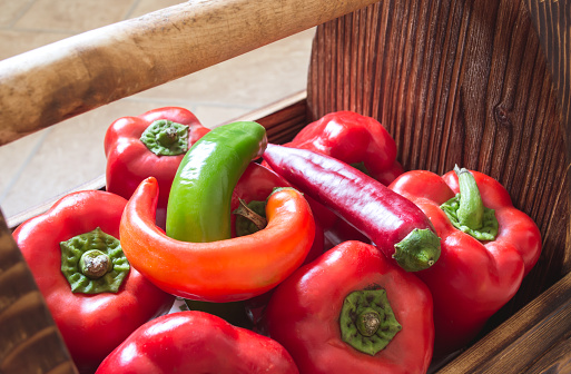 wooden box or basket with peppers of different colors. red, green, hot and sweet peppers.