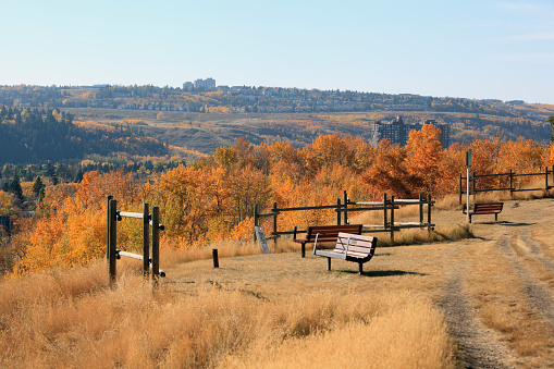 Autumn Scenic in Calgary Alberta. Quiet idyllic spot with park benches overlooking the changing color of nature's trees and grasses. No people.