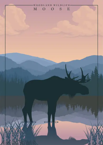 Vector illustration of vector mountain in woodland with lake and moose