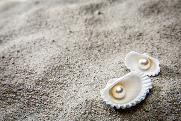 真珠と砂のビーチ貝 - pearl shell starfish beach ストックフォトと画像
