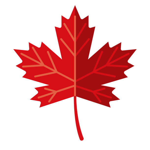 значок кленового листа на прозрачном фоне - canadian flag illustrations stock illustrations