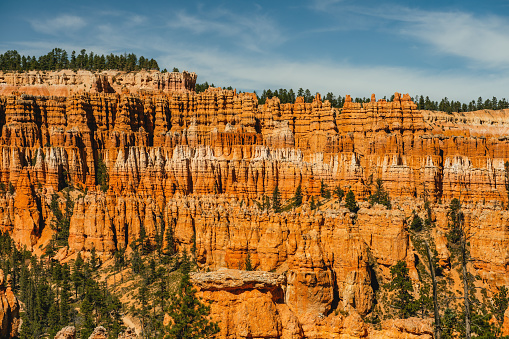 Bryce Canyon National Park amphitheater. Sandstone spires and pine tree forest with beautiful blue sky on background