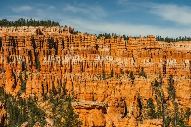 Photo of Bryce Canyon National Park amphitheater. Sandstone spires and pine tree forest with beautiful blue sky on background