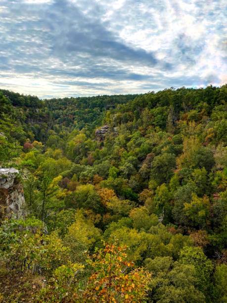 istock The Cedar Falls Outlook -- Autumn 1282061396