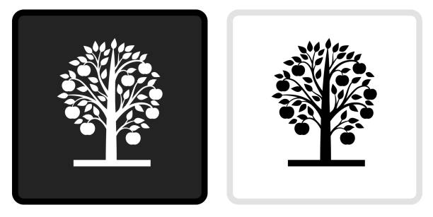 Apple Tree Icon on Black Button with White Rollover Apple Tree Icon on Black Button with White Rollover. This vector icon has two variations. The first one on the left is dark gray with a black border and the second button on the right is white with a light gray border. The buttons are identical in size and will work perfectly as a roll-over combination. fruit tree stock illustrations