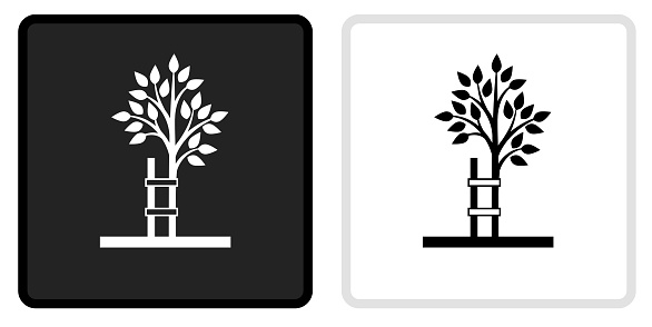 Farm Tree Icon on  Black Button with White Rollover. This vector icon has two  variations. The first one on the left is dark gray with a black border and the second button on the right is white with a light gray border. The buttons are identical in size and will work perfectly as a roll-over combination.