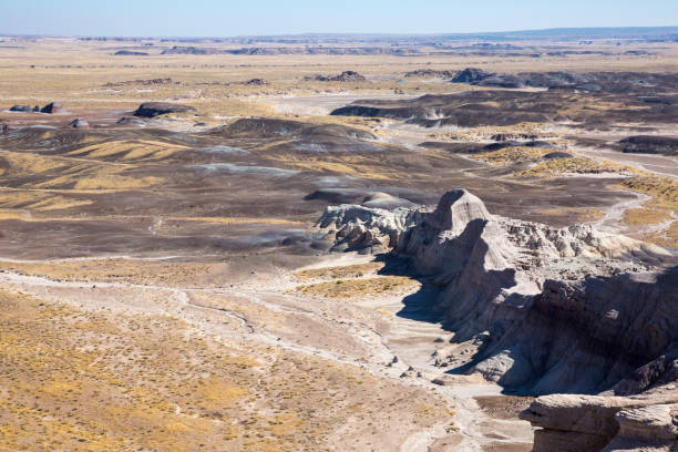 istock Landscape of Petrified Forest National Park 1282068405