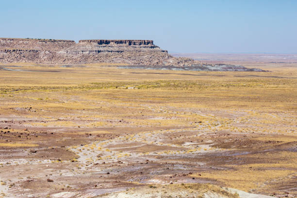 istock Landscape of Petrified Forest National Park 1282068459