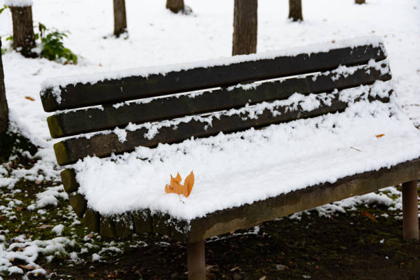 istock Wooden bench with early winter snow and dead leaves on it 1282071907