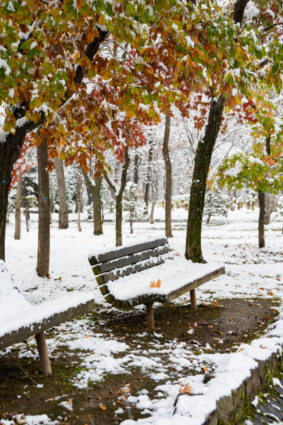 istock Wooden bench with early winter snow and dead leaves on it 1282071955