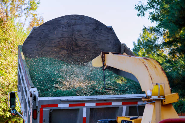 istock Grinding machine to become chip grinded tree branches for mulching the soil 1282072044