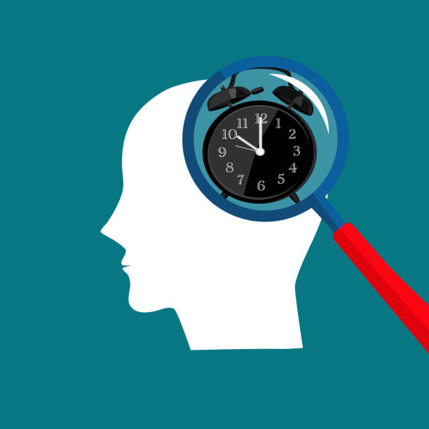 Circadian rhythm concept. Daily human body inner regulation schedule. Abstract head with a clock Circadian rhythm concept. Daily human body inner regulation schedule. Abstract head with a clock vector thinking fast and slow stock illustrations