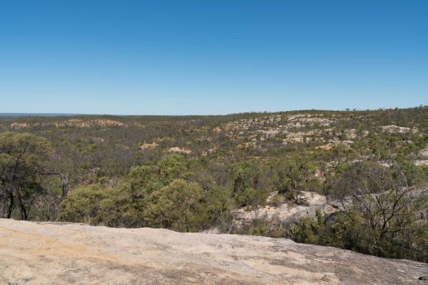 istock Burra Range, White Mountains National Park 1282081751