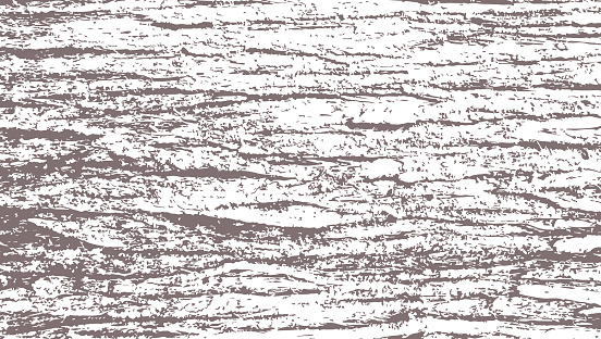 One-color vector background with the texture of the cedar tree bark.