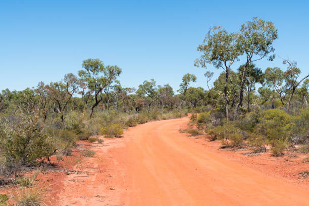 istock Red soil road in outback Queensland 1282081911