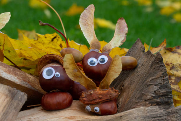 Handicrafts with chestnut stock photo