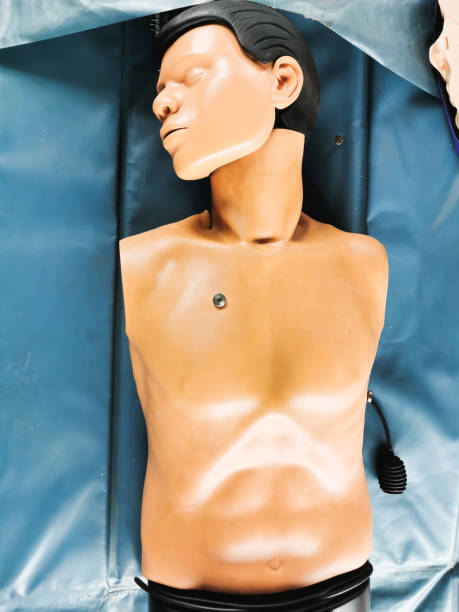 istock Human rubber model for demonstrating how to make a heart pump 1282085600