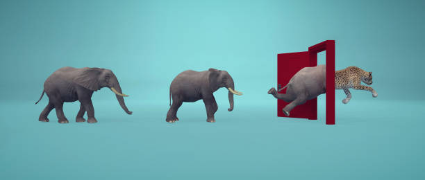 istock Elephants entering a door and gets out as a cheetah . Changing mindset and different approach concept . Life changing decision and new opportunities . This is a 3d render illustration . 1282089042